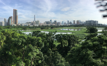 Lok Ma Chau Wetland