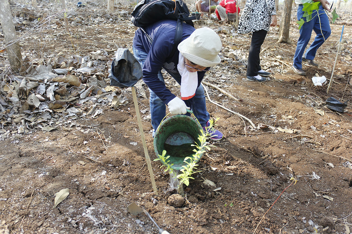 Paliyan wildlife reserve 2