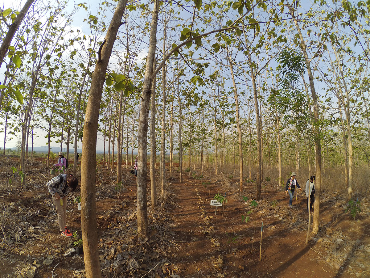 Paliyan wildlife reserve 1