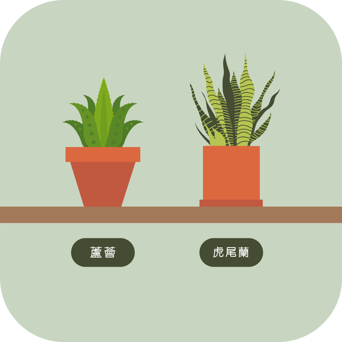 msig_info_03(chi)_01_1200