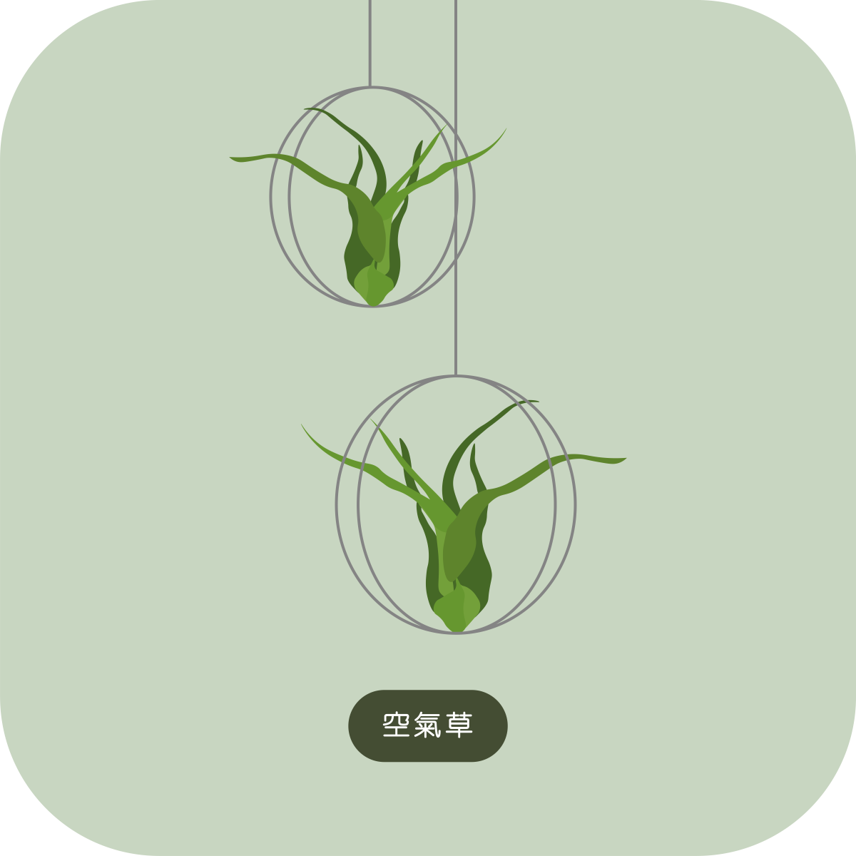 msig_info_03(chi)_03_1200