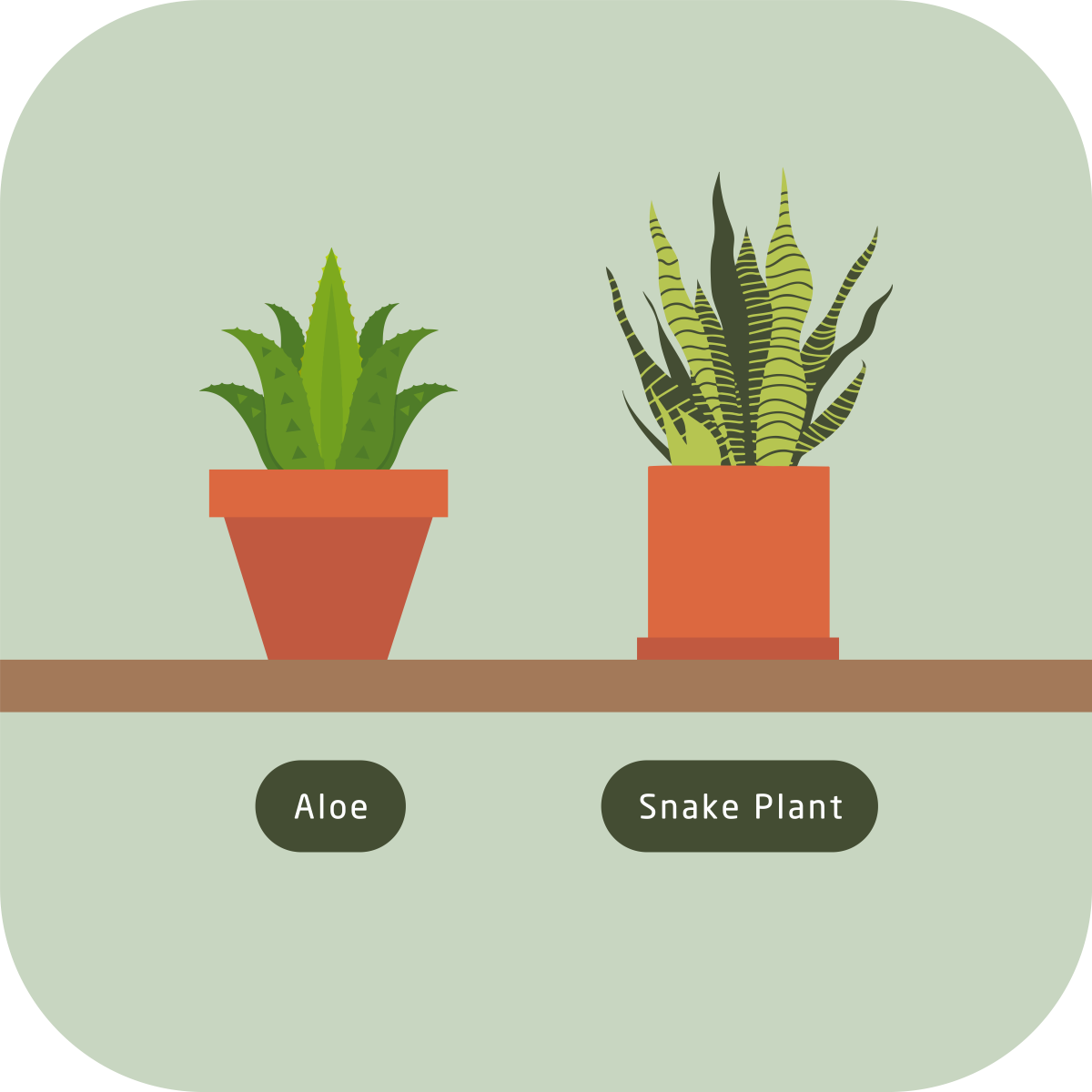 msig_info_03(eng)_01_1200