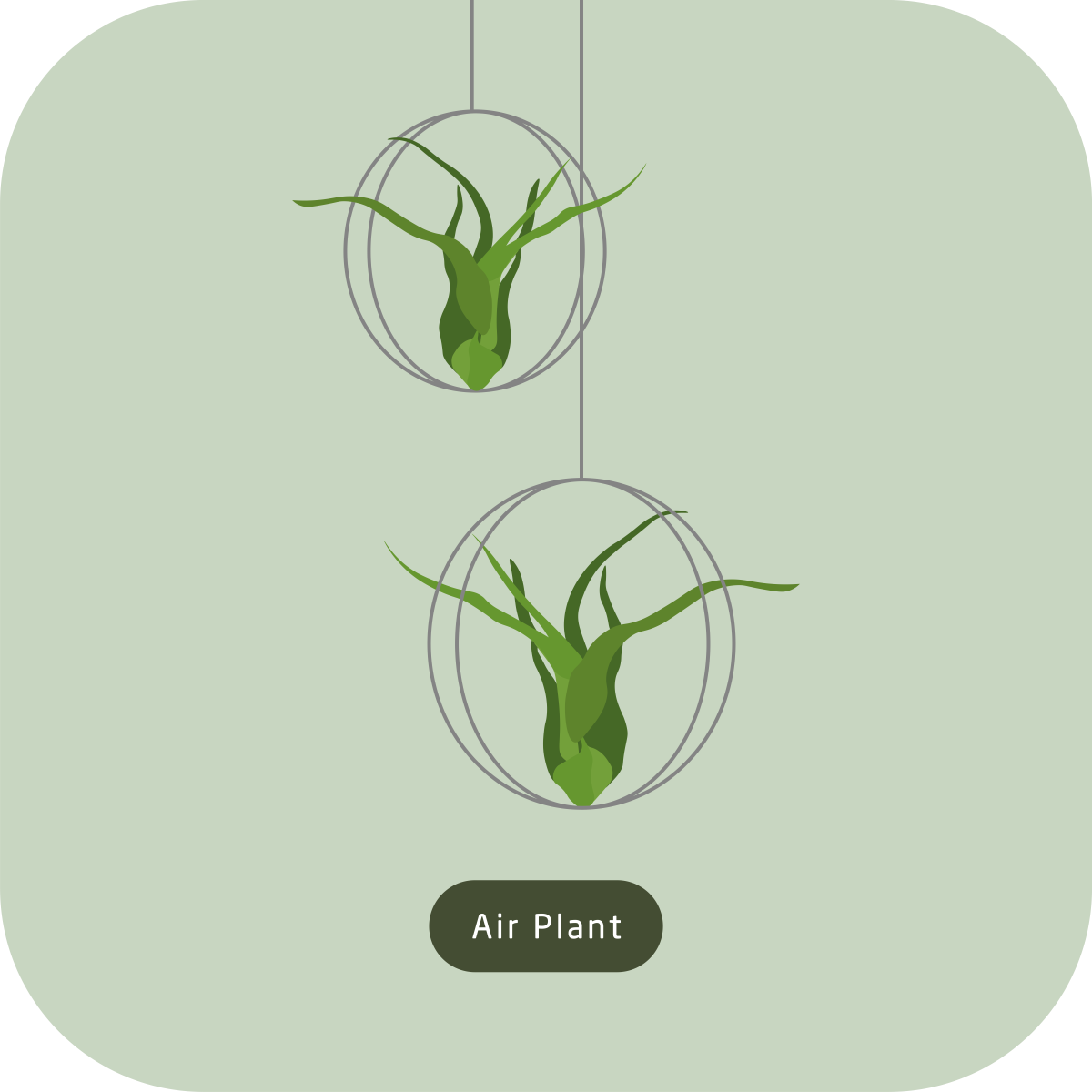 msig_info_03(eng)_03_1200