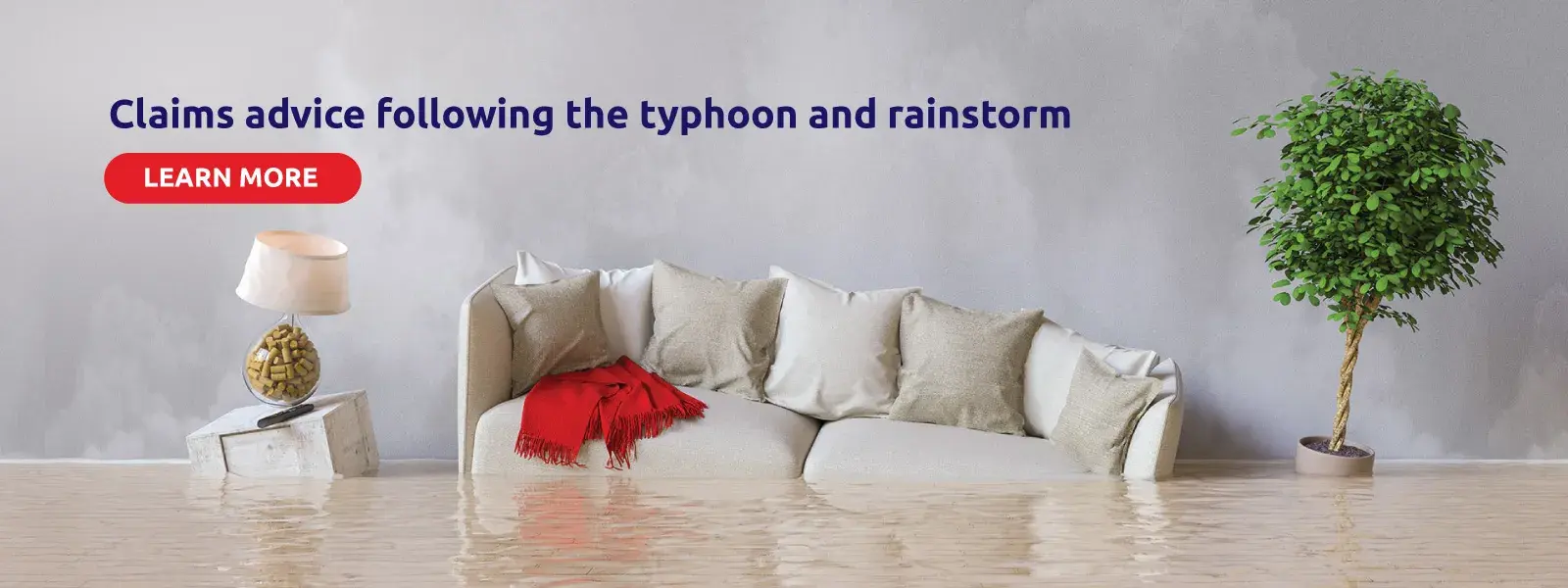 Typhoon_EN_25