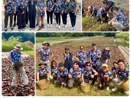 hkwp_photo_collage_31.10.2024