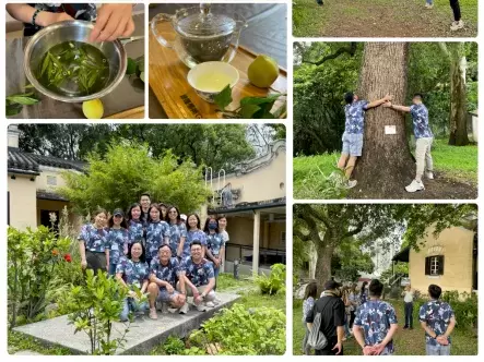 photo_collage_the_green_hub_tour