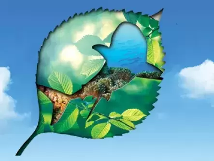 protecting_biodiversity.jpg
